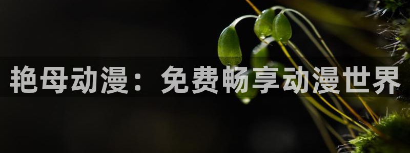 小风车动漫：艳母动漫：免费畅享动漫世界