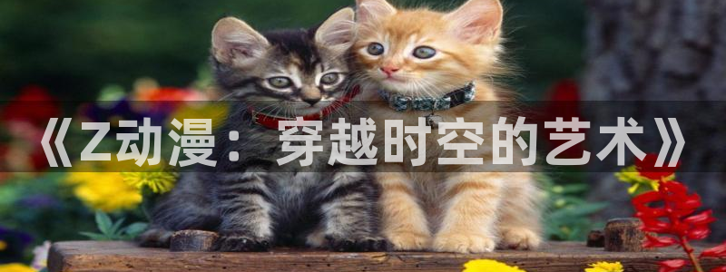 风车动漫网动漫免费看：《Z动漫：穿越时空的艺术》