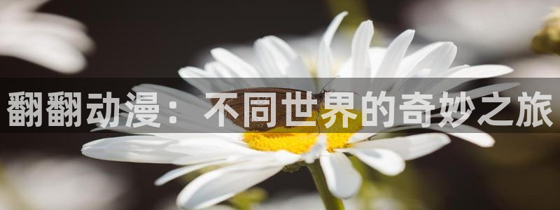 风车动漫正版下载安装：翻翻动漫：不同世界的奇妙之旅