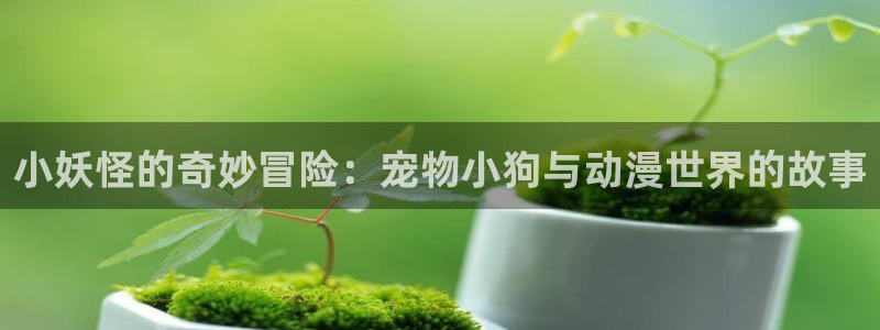 冤罪风车动漫网：小妖怪的奇妙冒险：宠物小狗与动漫世界的故事