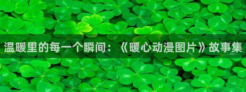 风车动漫手机下载：温暖里的每一个瞬间：《暖心动漫图片》故事集