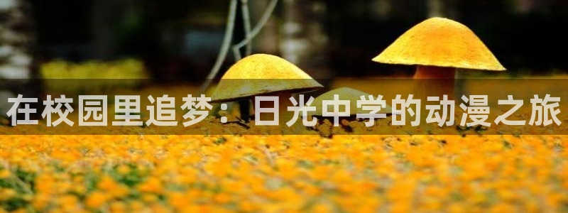 夜勤病栋在线观看风车动漫：在校园里追梦：日光中学的动漫之旅