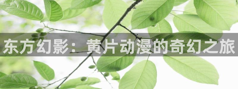 风车动漫网里番：东方幻影：黄片动漫的奇幻之旅
